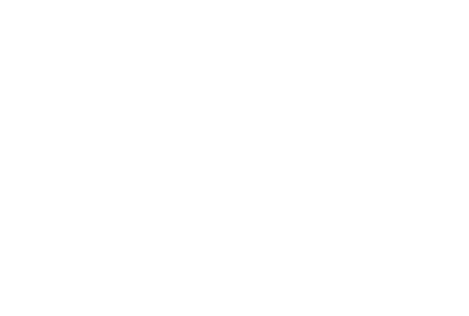 Eluvi